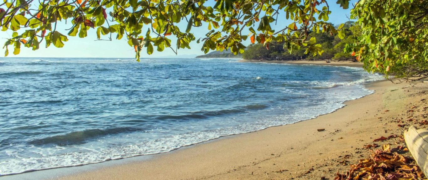Pristine Beach & Crystal Waters. Unspoiled beaches with crystal-clear waters, surrounded by lush nature—perfect for relaxation, eco-adventures, and coastal serenity.