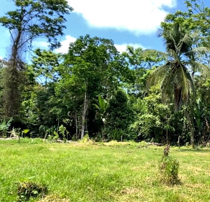 Bordering a Protected Wildlife Refuge. Through the property’s forested area, the land directly borders the Limoncito Wildlife Refuge, ensuring preserved nature and long-term value