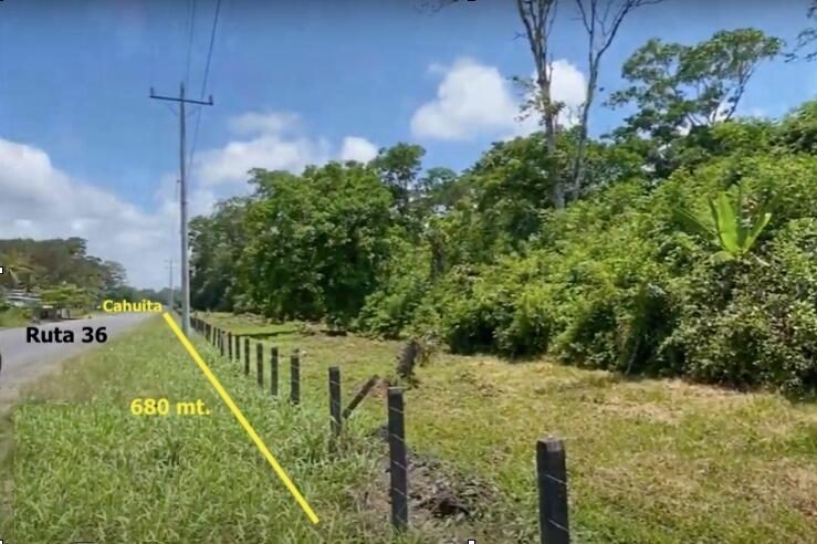 Strategic Roadfront Location. Property roadfront connecting directly to Cahuita, Puerto Viejo, and Manzanillo—easy access to top Caribbean attractions.