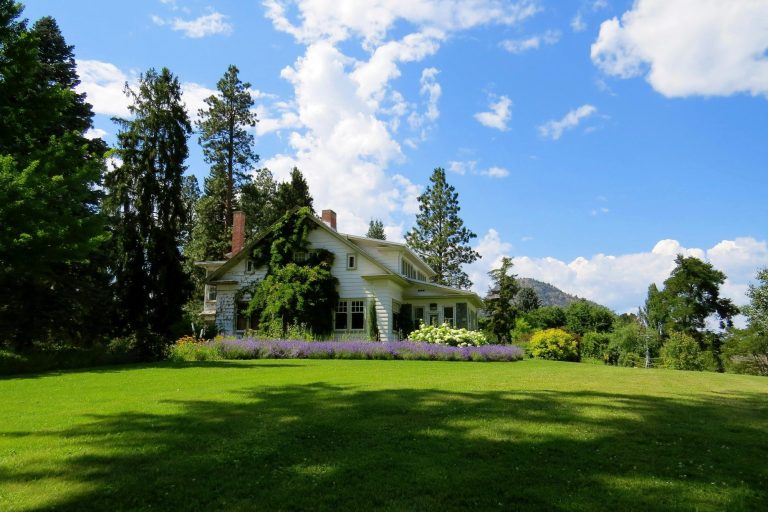 Sustainable Development Vision. Aerial examples of eco-sustainable development within the property, blending architecture, landscape, and responsible land use.