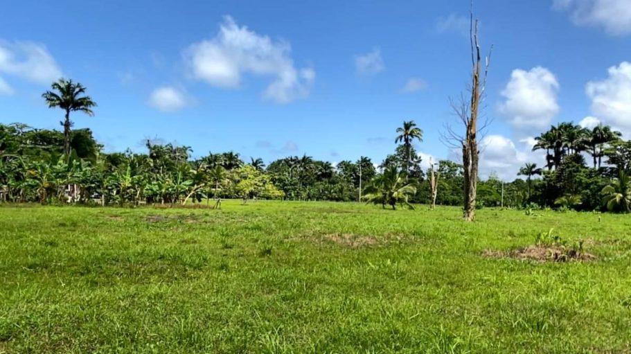Eco-Friendly Building Potential. Flat areas suited for eco-friendly, sustainable structures designed to blend seamlessly with the surrounding natural landscape.