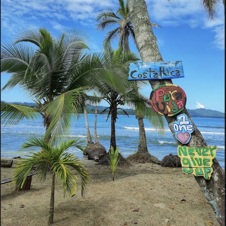 Close to Puerto Viejo Beaches. Just 25 miles from Puerto Viejo de Talamanca, with stunning beaches and vibrant Caribbean culture within easy reach.