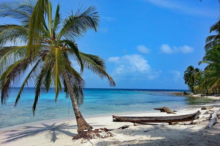 Endless Caribbean Beach. A stunning view of the long, pristine beach near the property—where untouched nature, space, and serenity define the experience.