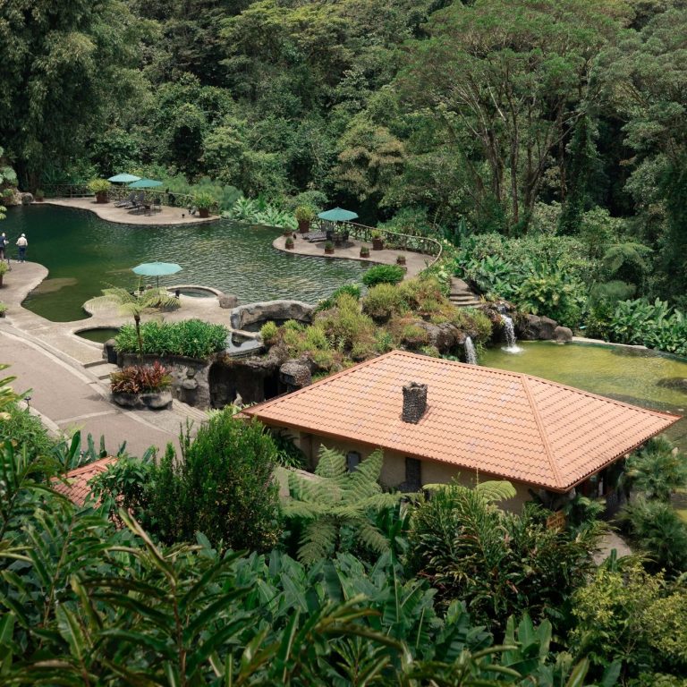 Eco-Lodge Development Concept. An aerial concept of a sustainable eco-lodge immersed in nature, showcasing the property’s potential for low-impact eco-tourism.