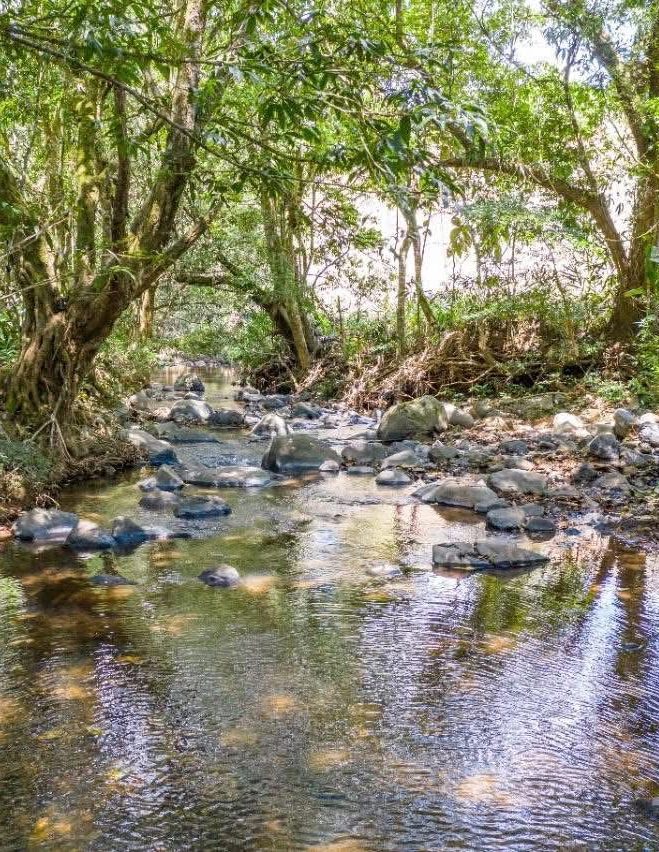 Lagoon Retreat on Property. A serene view of the on-site lagoon, offering calm waters, natural beauty, and a peaceful oasis within the property.